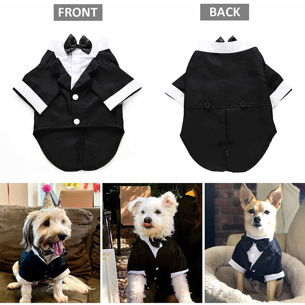 Eleganter Hunde-Smoking