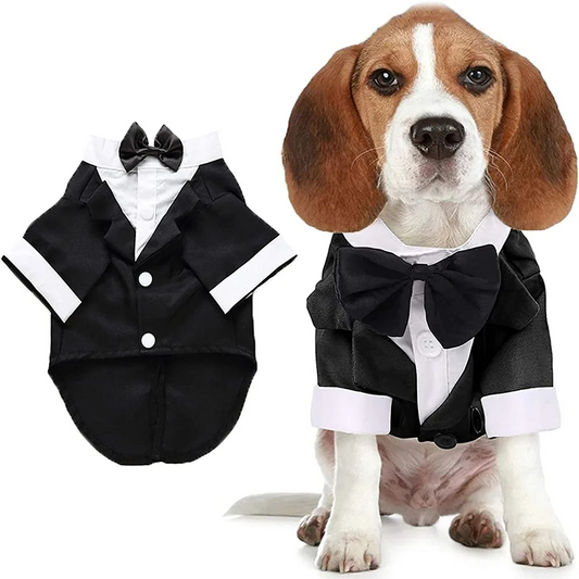 Dapper Dog Tuxedo